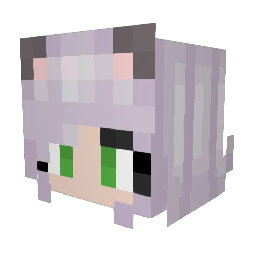 fluz12 Minecraft avatar head, 3D render