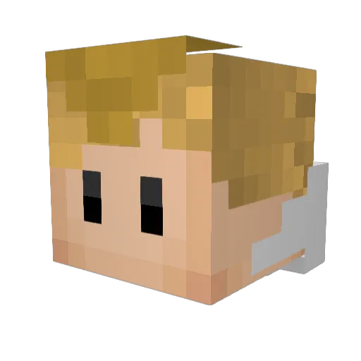 flvrxn Minecraft avatar head, 3D render