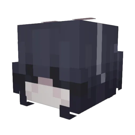 flwes Minecraft avatar head, 3D render