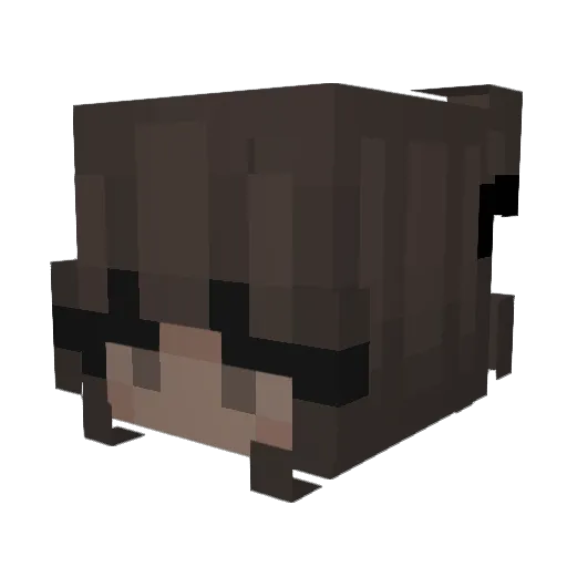 flws Minecraft avatar head, 3D render