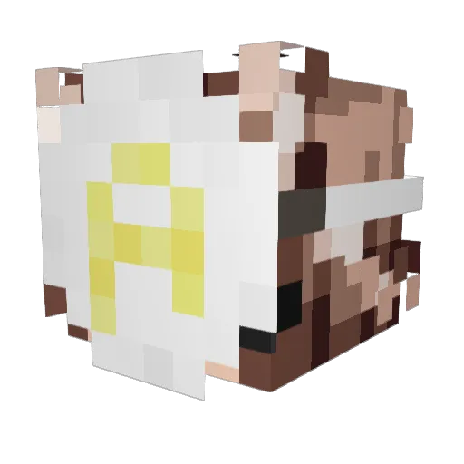 flwyy Minecraft avatar head, 3D render