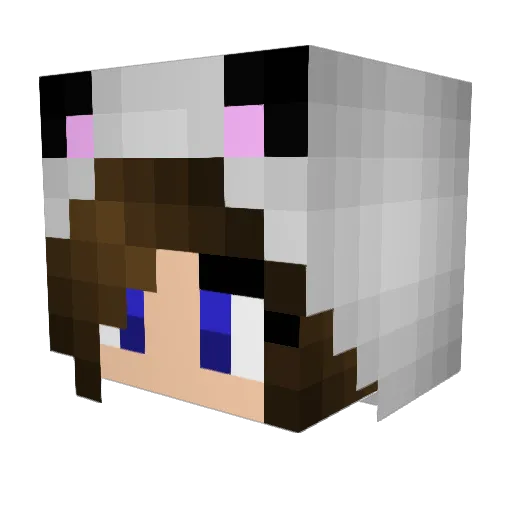flxarn Minecraft avatar head, 3D render