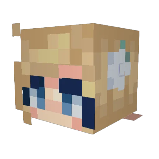 flxreguns Minecraft avatar head, 3D render