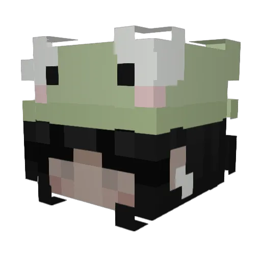 fly1nq Minecraft avatar head, 3D render