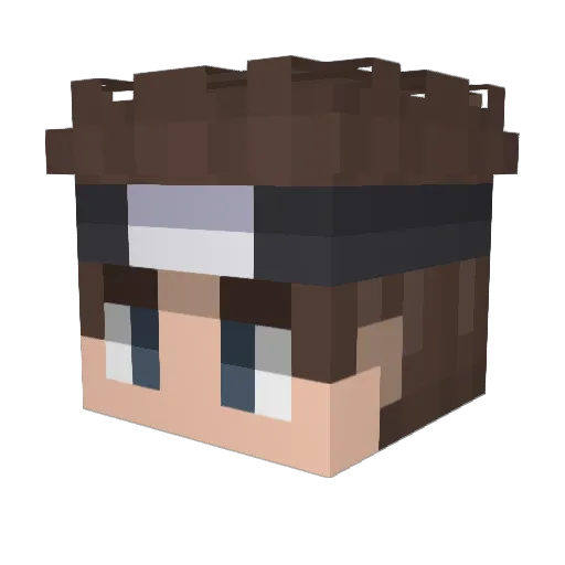 fly741 Minecraft avatar head, 3D render