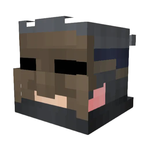fly7570 Minecraft avatar head, 3D render