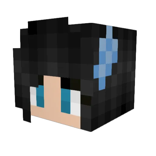 flyLikeanoob Minecraft avatar head, 3D render