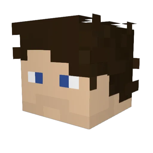 fly_swater00000 Minecraft avatar head, 3D render