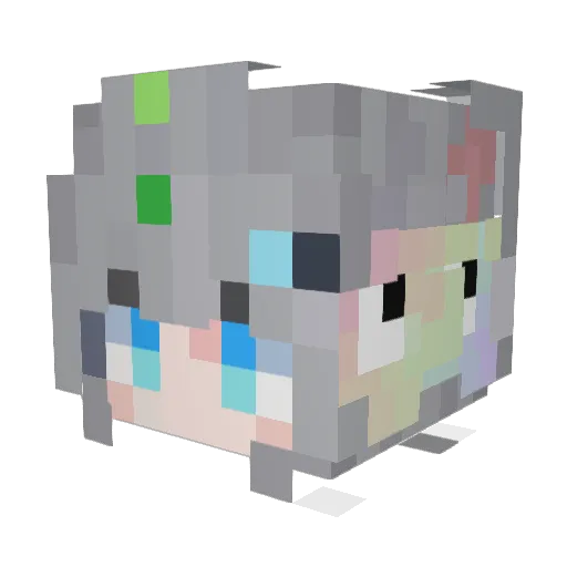 flyaw Minecraft avatar head, 3D render