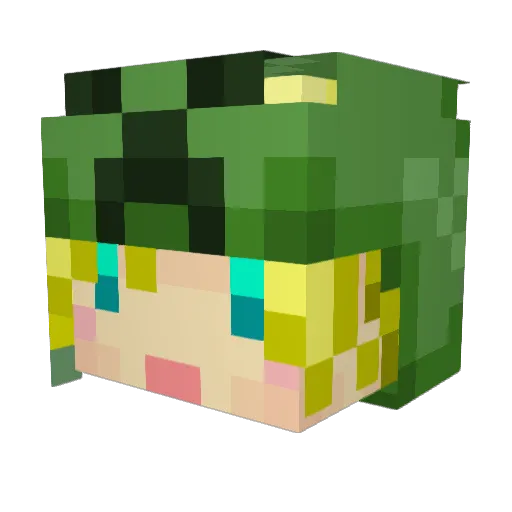 flyaway2525 Minecraft avatar head, 3D render