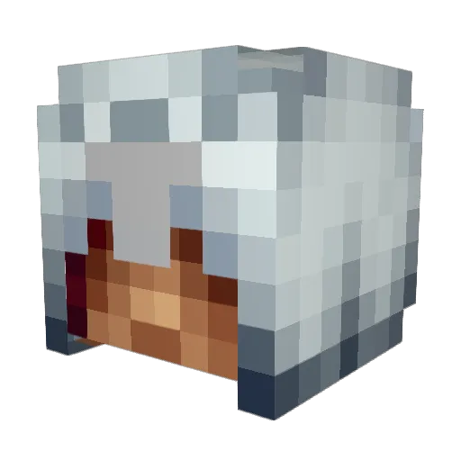 flyboy_exodus Minecraft avatar head, 3D render