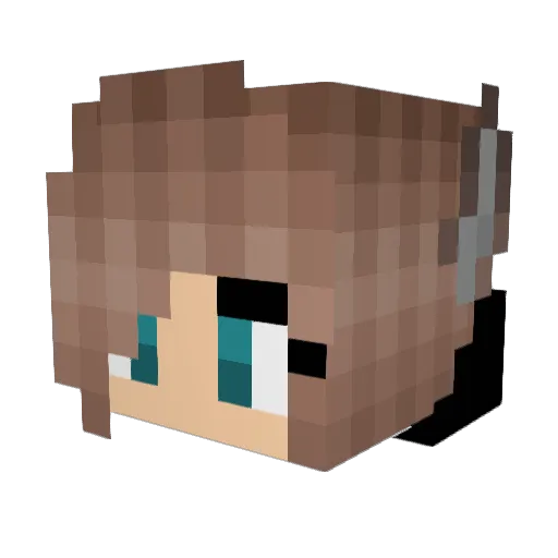flyc0rpse Minecraft avatar head, 3D render
