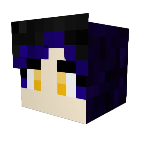 flyer50 Minecraft avatar head, 3D render