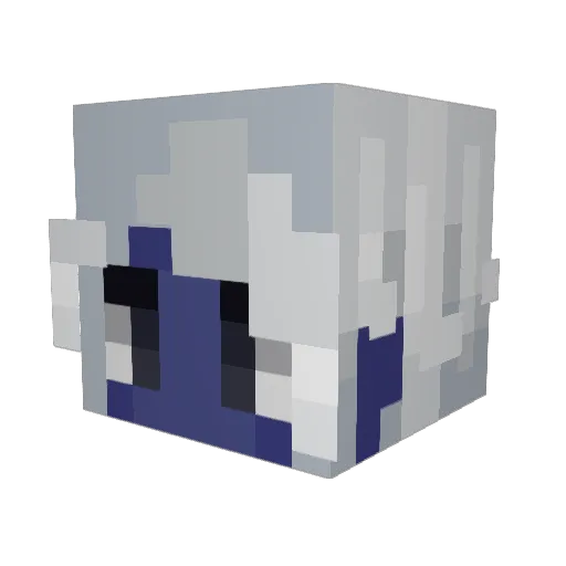 flyeributts Minecraft avatar head, 3D render
