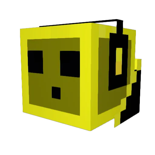 flyfishnc Minecraft avatar head, 3D render