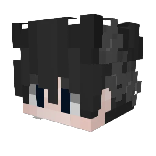 flygon04 Minecraft avatar head, 3D render