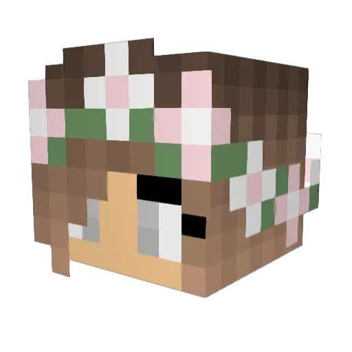 flying_birdy_ Minecraft avatar head, 3D render