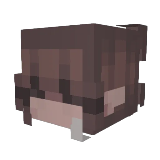 flying_turle Minecraft avatar head, 3D render