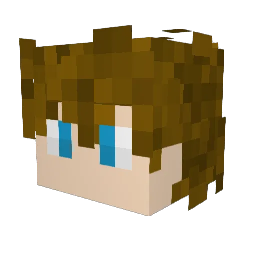 flyingecko Minecraft avatar head, 3D render
