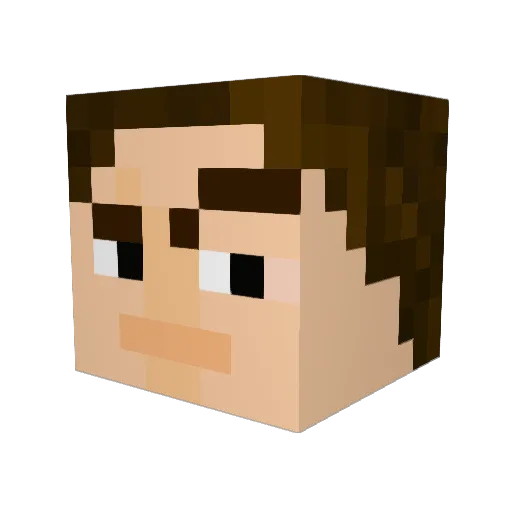 flyingfire14 Minecraft avatar head, 3D render