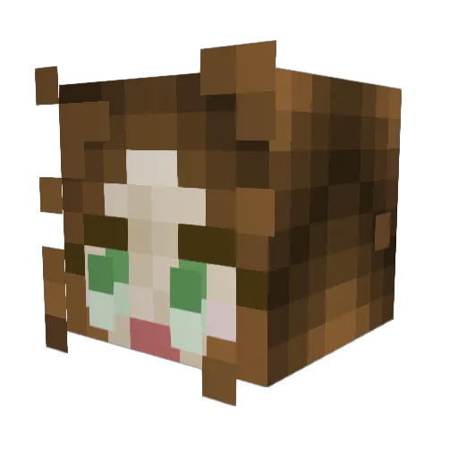 flyingfrogs21 Minecraft avatar head, 3D render
