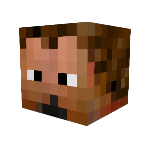 flyingjanus Minecraft avatar head, 3D render
