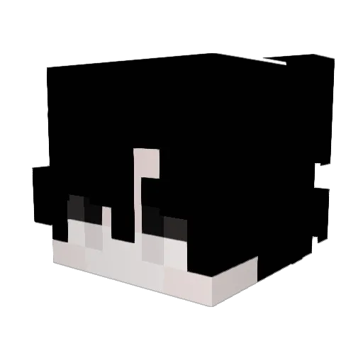 flyingkitty12 Minecraft avatar head, 3D render