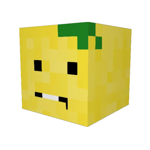 flyinglemon04 Minecraft avatar head, 3D render