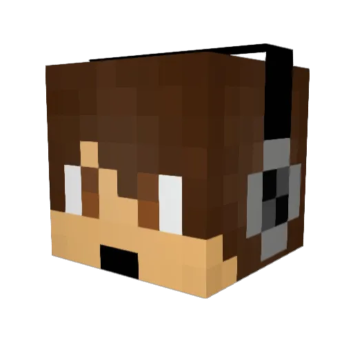 flyingmonkey290 Minecraft avatar head, 3D render