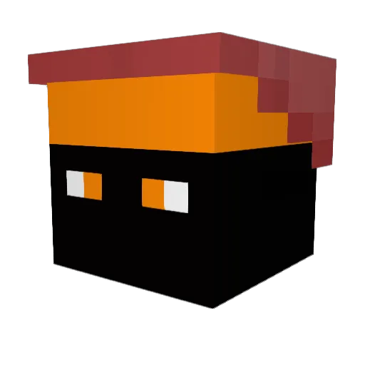flyingninja Minecraft avatar head, 3D render