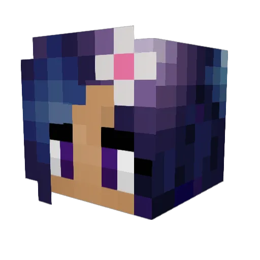 flyingpenguin8 Minecraft avatar head, 3D render