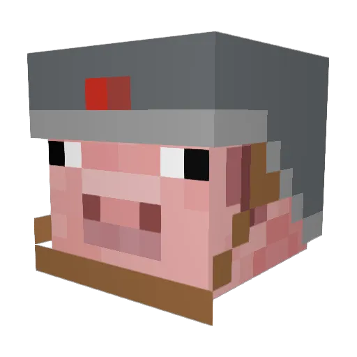 flyingpig21 Minecraft avatar head, 3D render
