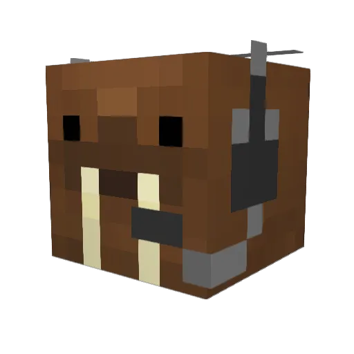 flyingpotatoderp Minecraft avatar head, 3D render