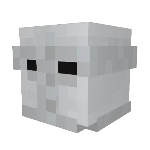 flyingsalmon3 Minecraft avatar head, 3D render