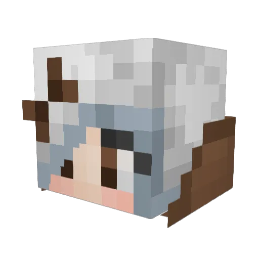 flyingsn0w Minecraft avatar head, 3D render