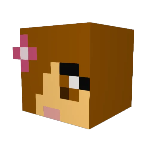 flyme2 Minecraft avatar head, 3D render