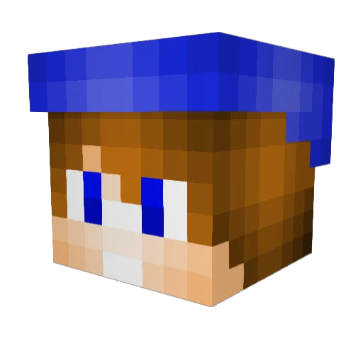 flynngator03 Minecraft avatar head, 3D render