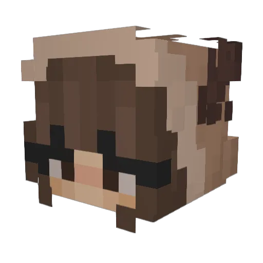 flysarafly Minecraft avatar head, 3D render