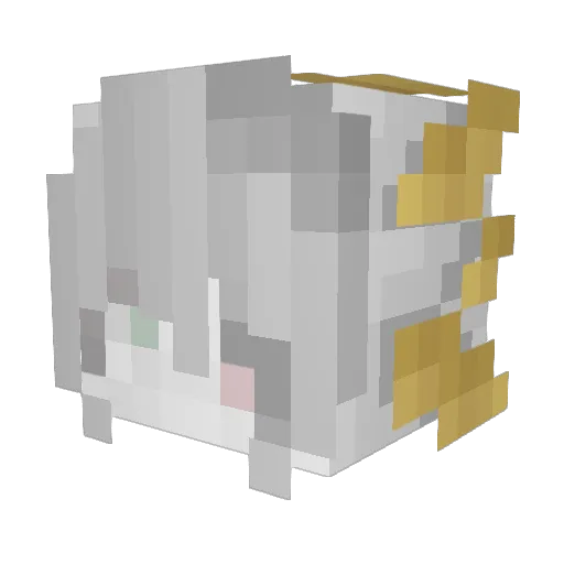 flysig Minecraft avatar head, 3D render