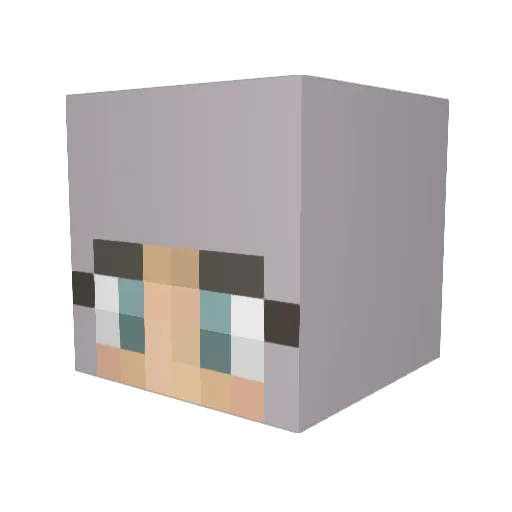 flysky00 Minecraft avatar head, 3D render