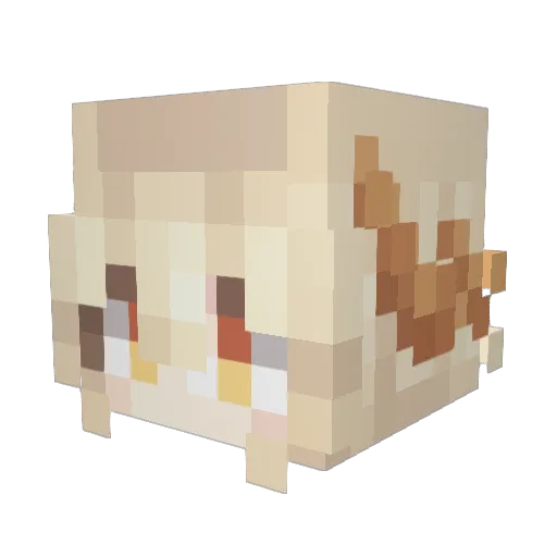 fm16 Minecraft avatar head, 3D render