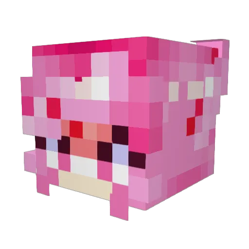 fmpsp Minecraft avatar head, 3D render