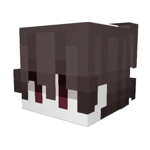 fmsg Minecraft avatar head, 3D render