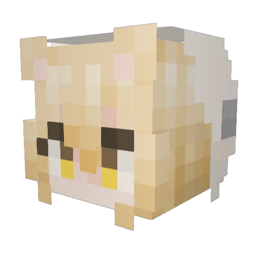 fmslsp Minecraft avatar head, 3D render