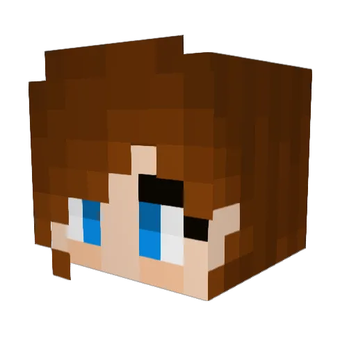 fmsmith Minecraft avatar head, 3D render