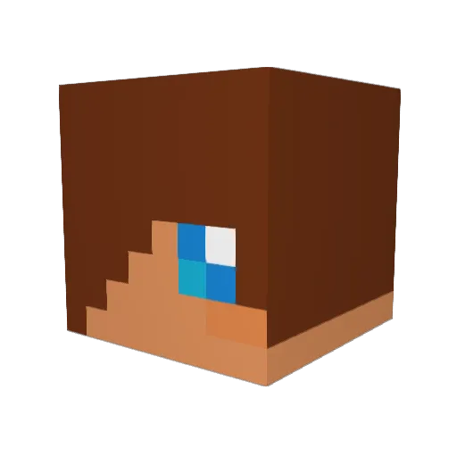 fnado Minecraft avatar head, 3D render