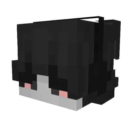 fnfcat4 Minecraft avatar head, 3D render