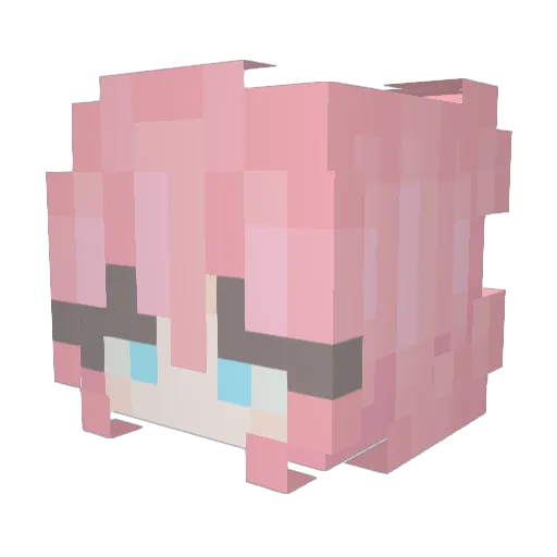 fnfj Minecraft avatar head, 3D render