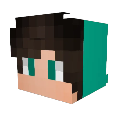fnj_msmc_ib7 Minecraft avatar head, 3D render