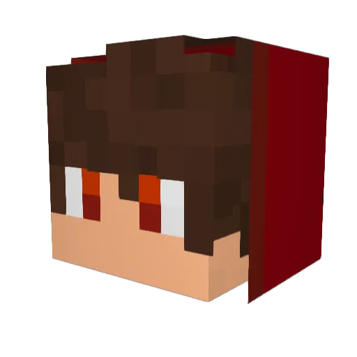 fns_MC Minecraft avatar head, 3D render